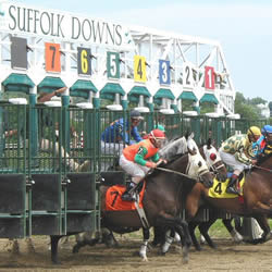 Suffolk Downs Loses Public Referendum; Will Explore Nearby Option