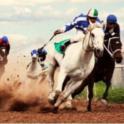 Colorado Election Will Decide Whether to Approve Three Racetracks