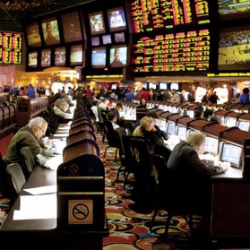 18 US States Sports Betting Regulations