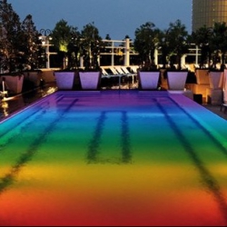 Borgata Introduces Rainbow Carpet for Pride Month Events