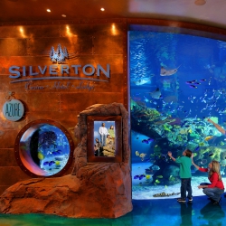 Metro Police Still Searching for the Man Who Robbed the Silverton Las Vegas’s Sportbook