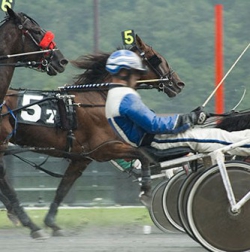 Michigan Smartphone Horse Racing - HB 4611