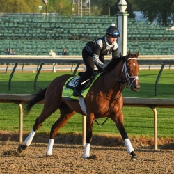 2018 Kentucky Derby Odds - Justify, Audible, Good Magic, Lone Sailor