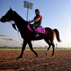 Justify Runs for Triple Crown at Belmont Stakes on Saturday