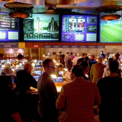 Hollywood Casino Sportsbook Draws in Younger Crowd of Bettors