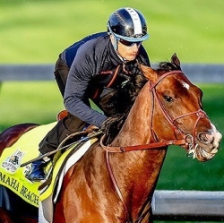 Omaha Beach 4-1 Favorite to Win 145st Kentucky Derby